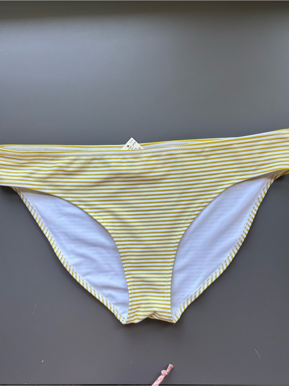 NWT Aerie Bikini Bottom- L